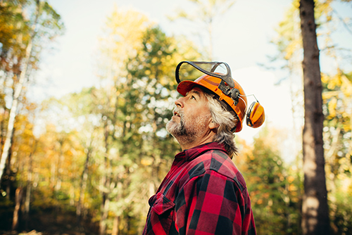 West Creek tree companies employee wearing orange protective gear and a red and black plaid shirt looking up at tree canopy